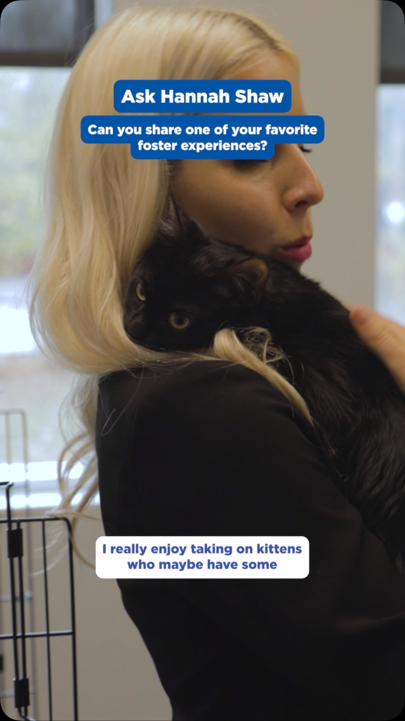 Instagram post by @kittenxlady for Hills Pet. Caption reads: @kittenxlady Hannah Shaw is a foster parent pro —....