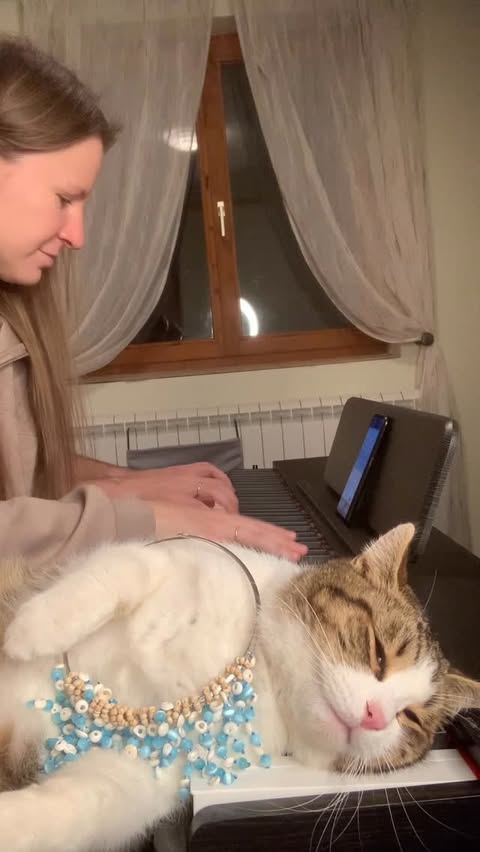 Instagram post by @pianists_mariana.dimcho for DonnerMusic. Caption reads: [...] (Ukrainian traditional song) 
on....