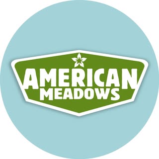 American Meadows