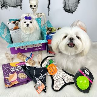 Instagram post by @tinyspikeymikey for PupBox. Caption reads: [...] loved to bite the box @lilyquinnbaby 😂....