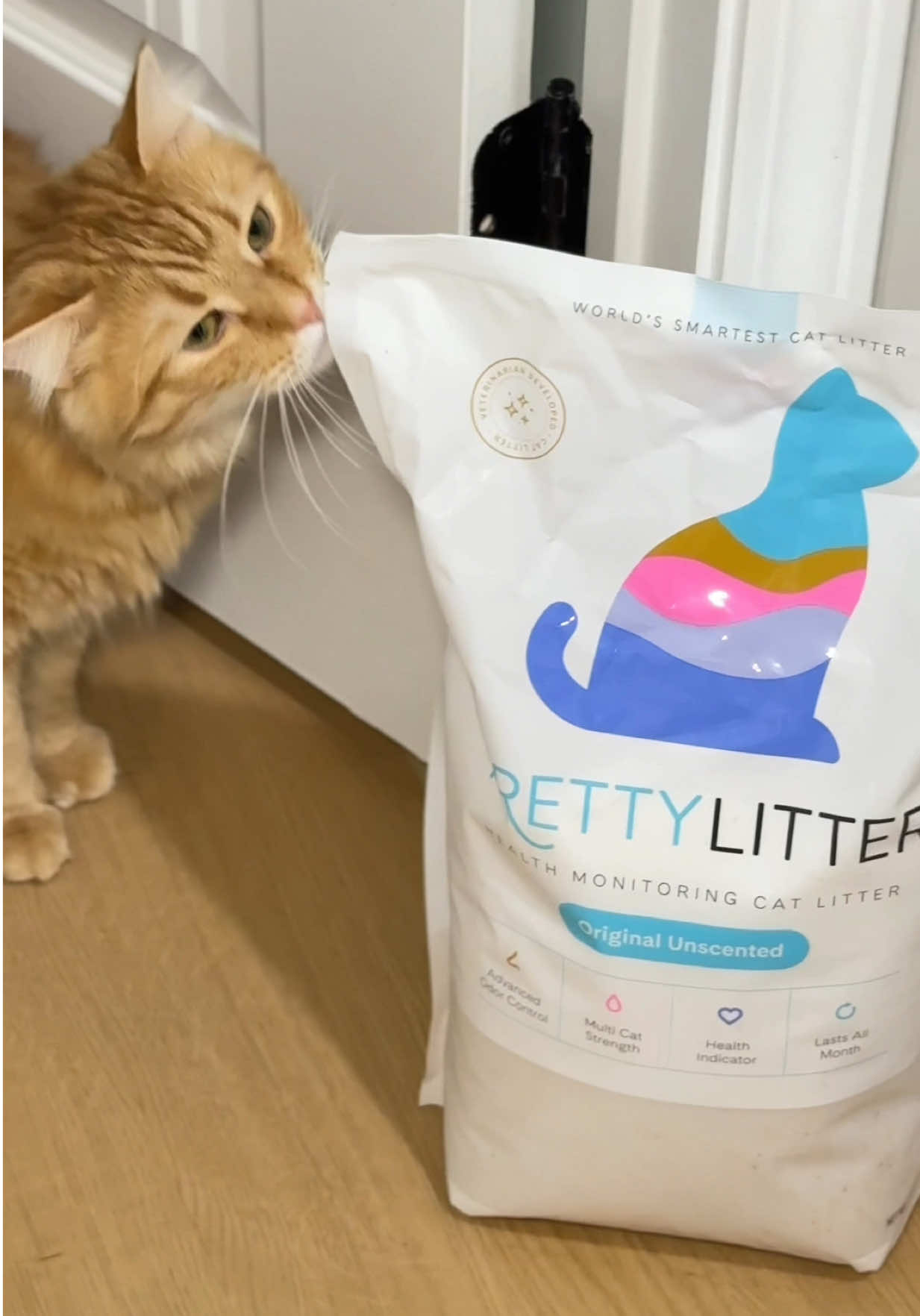 TikTok post by @sophiawhaley for PrettyLitter. Caption reads: [...] he’s not wrong. That’s why we use....