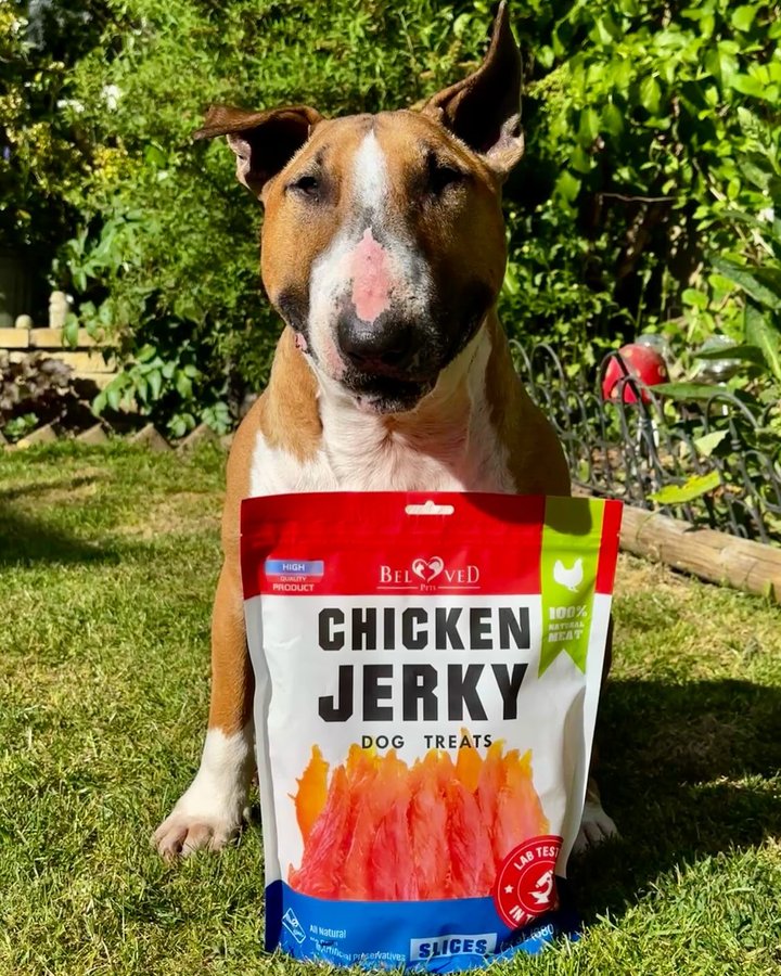 Instagram post by @barkley.ebt for Beloved Pets. Caption reads: New Week, New Treats!

Get your paws ready for....