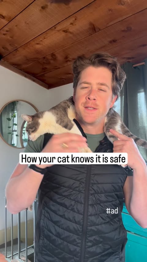 Instagram post by @dr.mikewalker for Zesty Paws. Caption reads: [...] seasons. That’s why I’m loving @ZestyPaws....