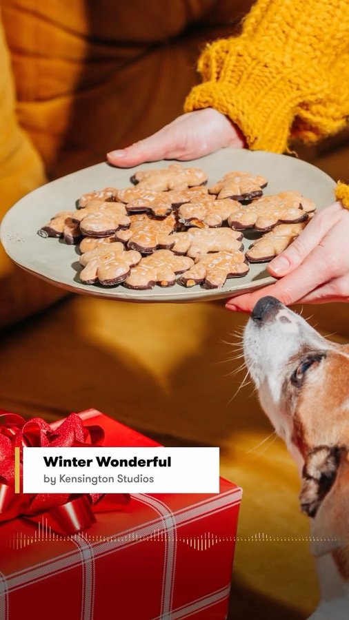 Instagram post by @premiumbeat for Shutterstock. Caption reads: It’s the most wonderful time... to get creative!....