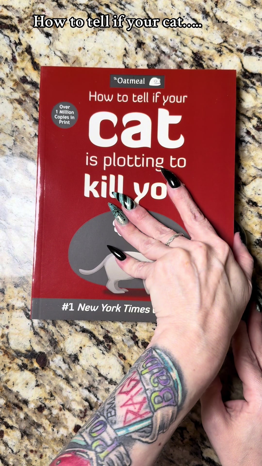 TikTok post by @darkj2021 for Book & Mortar. Caption reads: @Book & Mortar how to tell if your cat is plotting....