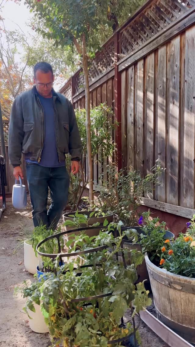 Instagram post by @julia_penfield for Pestie. Caption reads: #ad We are so excited for the fall season, but....