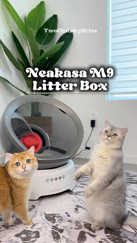 Instagram post by @twochunkybrits for Neakasa. Caption reads: [...] test: PASSED! 🐱✅🐾 Meet the NEW Neakasa M9....