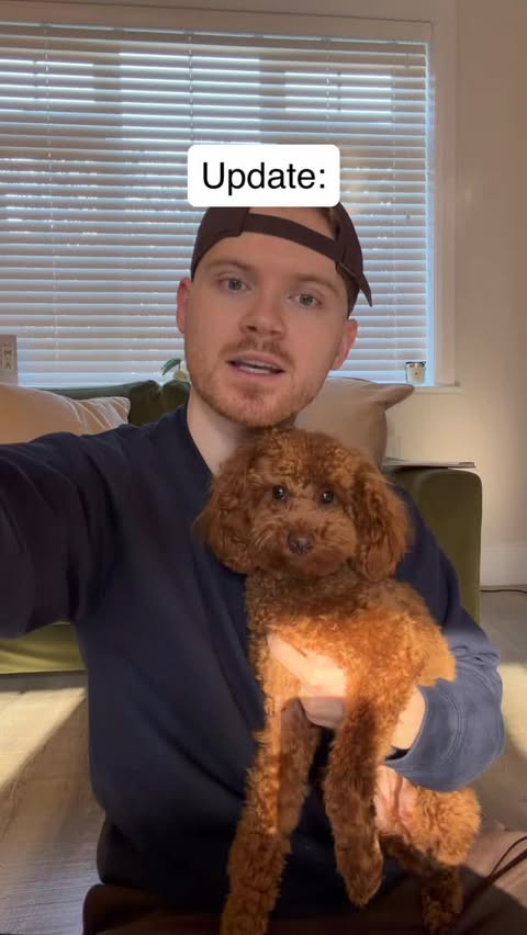 Instagram post by @max_balegde for Nintendo. Caption reads: [...] I CANNOT COPE @pokemon @pokemonnewsuk....