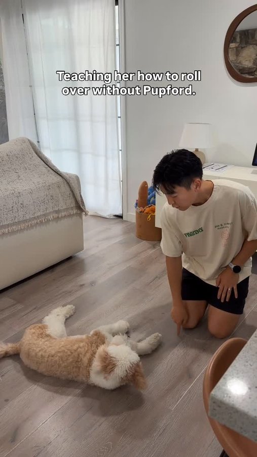 Instagram post by @milachon45 for Pupford. Caption reads: Unlock Pupford’s Academy+ today! @pupford [...].