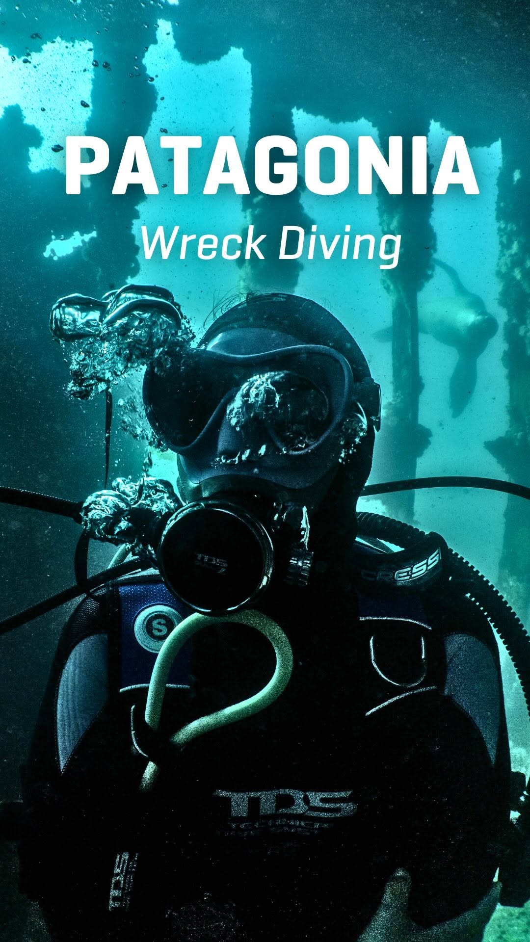 Instagram post by @oceanomartina for Scuba Diving. Caption reads: Exploring the raw beauty of Patagonia’s cold....