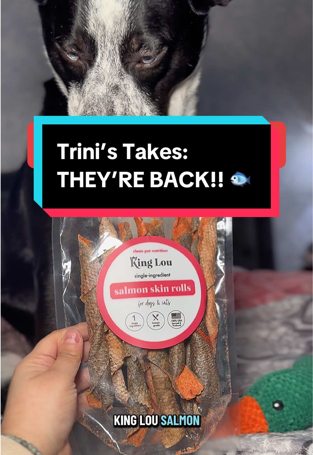 TikTok post by @tailsoftrinity for King Lou. Caption reads: [...] BACK and I repeat…BACK 😭🐟 These @King Lou....