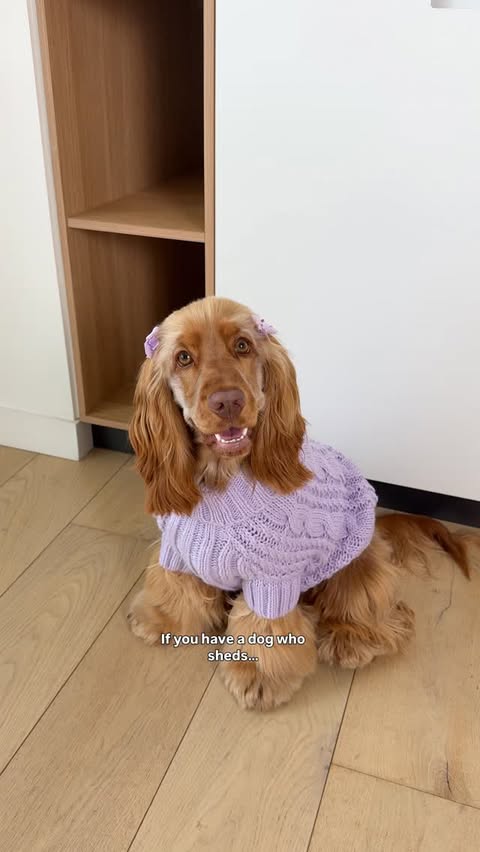 Instagram post by @its_princesspenny for Oneisall. Caption reads: [...] part of everyday life… That’s why the....