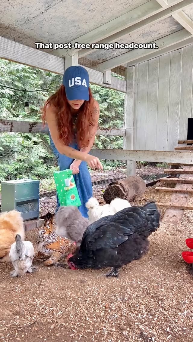 Instagram post by @motherhenteaco for Grubbly Farms. Caption reads: [...] flock always returns to the coop for....