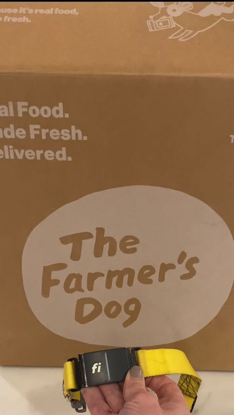 Instagram post by @murraytheswissy for The Farmer's Dog. Caption reads: [...] miss out on this special offer!....