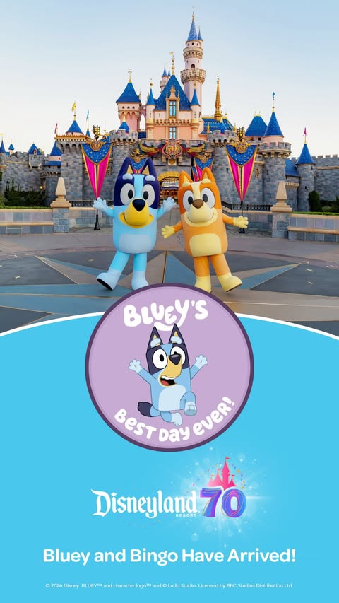 Instagram post by @magicdreamingmama for Disneyland. Caption reads: [...] to experience the NEW Bluey show at....
