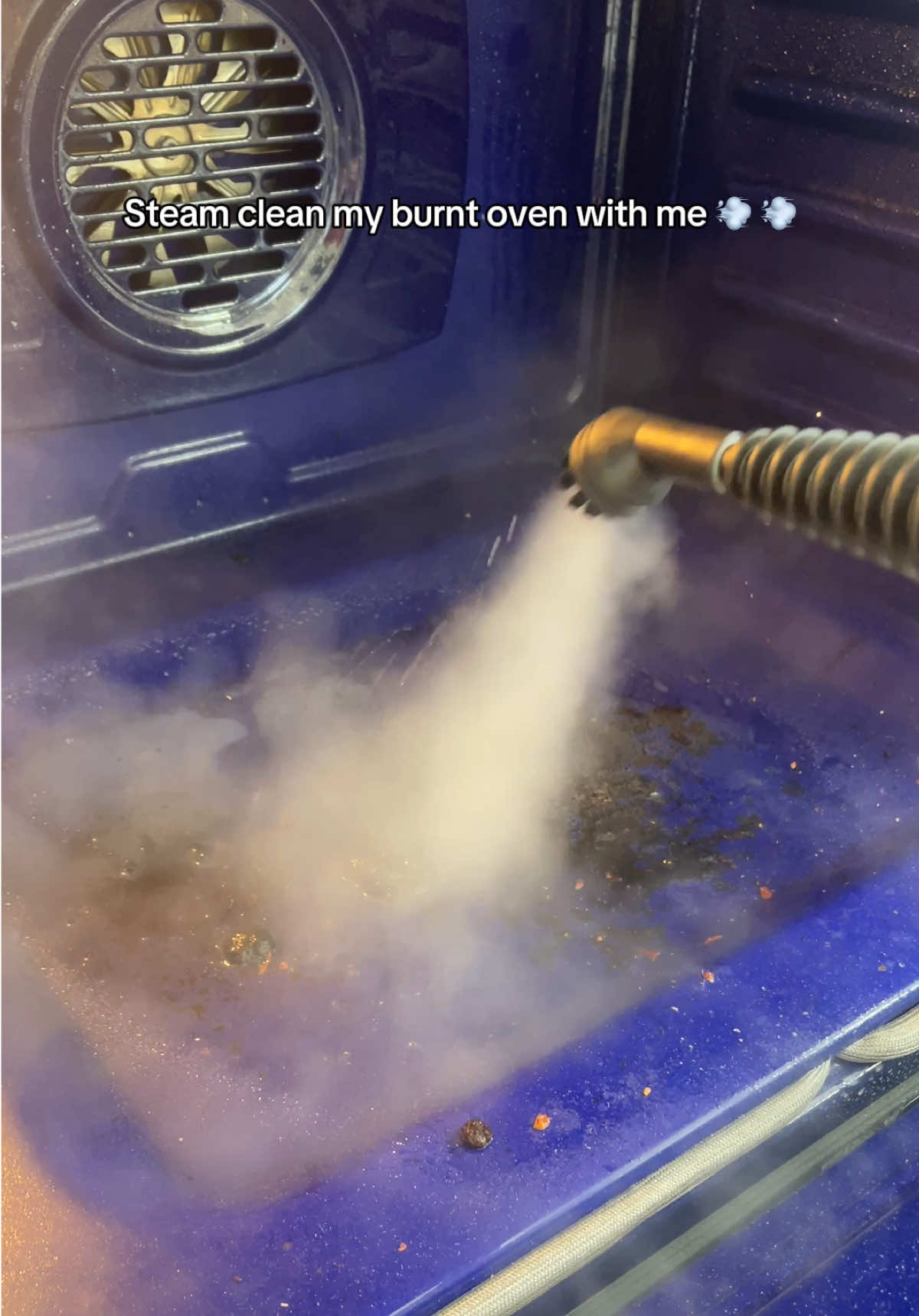 TikTok post by @ab333xxx for Phueut. Caption reads: [...] cleaner. Best part it’s chemical free!!....
