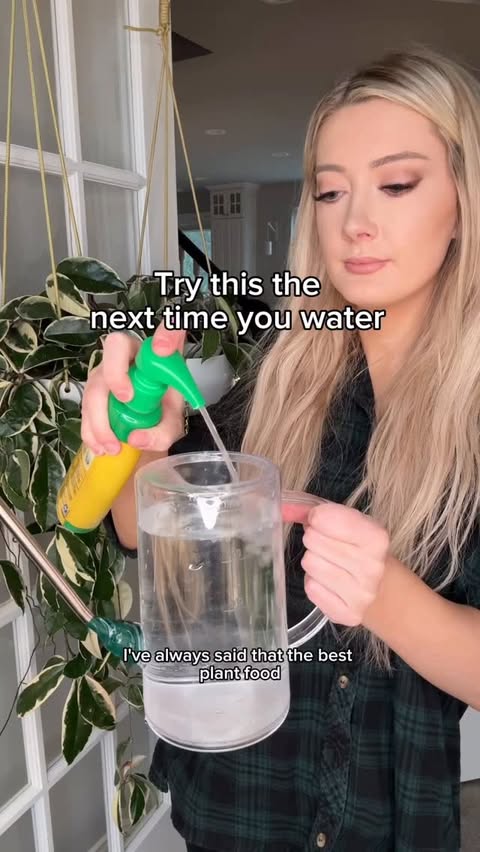 Instagram post by @botanicallyinsane for Miracle-Gro. Caption reads: #sponsored The best plant food….⬇️

… is the one....