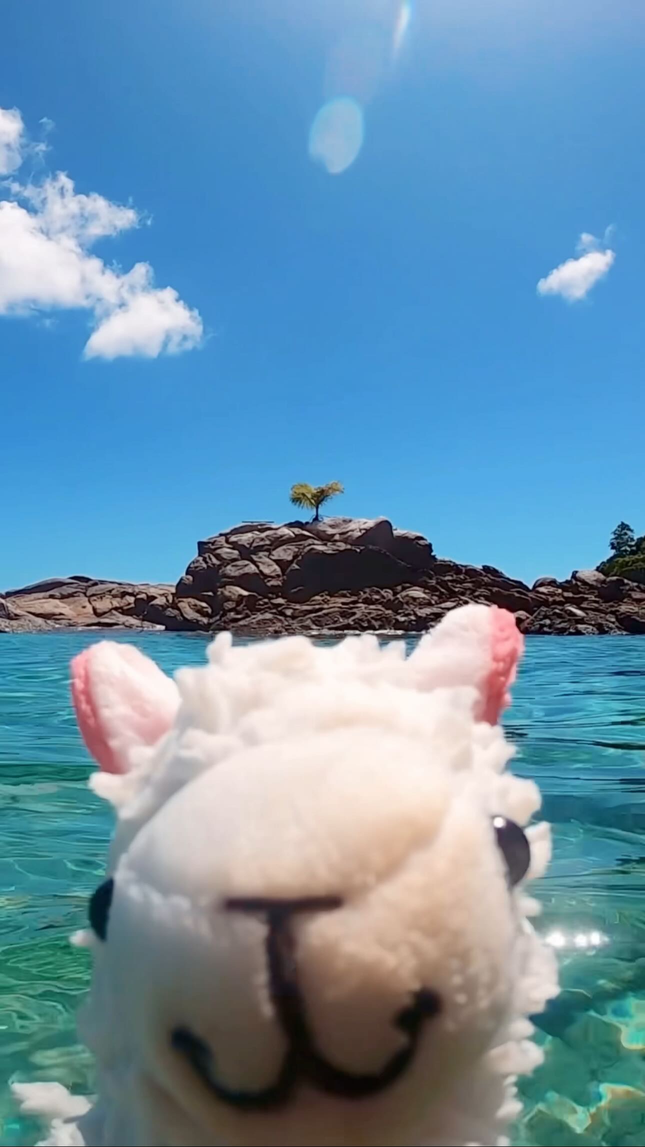 Instagram post by @llamawithnodrama for Hilton Hotels & Resorts. Caption reads: I’m so scared, I’m so scared, I’m SOOO scared!!!....