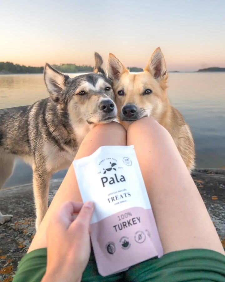 Instagram post by @simplysarek for Pala Pets. Caption reads: Ad| You better believe we never forget to pack the....