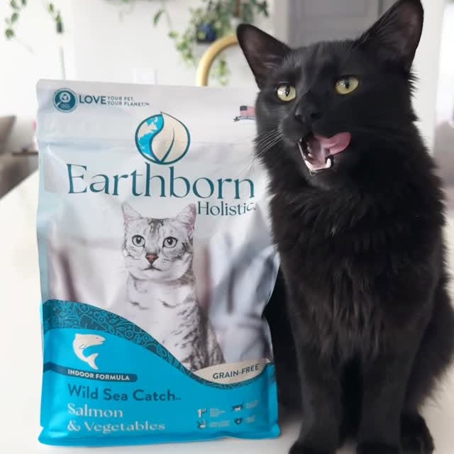 Instagram post by @herhouseofcats for Earthborn Holistic Pet Food. Caption reads: AD | 1 comment = 1 tree planted....