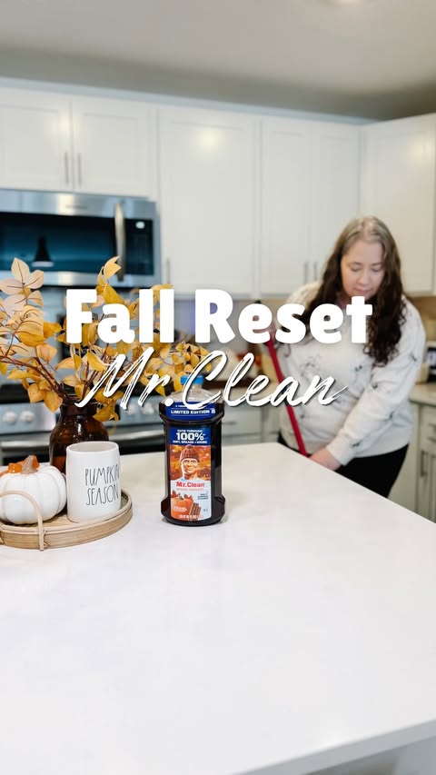 Instagram post by @gall_adventures for Mr. Clean. Caption reads: [...] doesn’t, might I suggest a reset with....