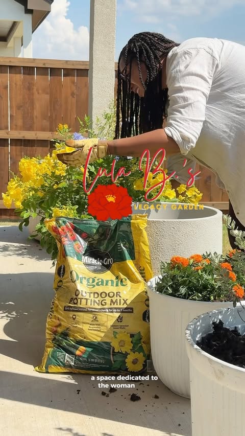 Instagram post by @botanicallybe for Miracle-Gro. Caption reads: [...] alive in your garden right now? #ad....