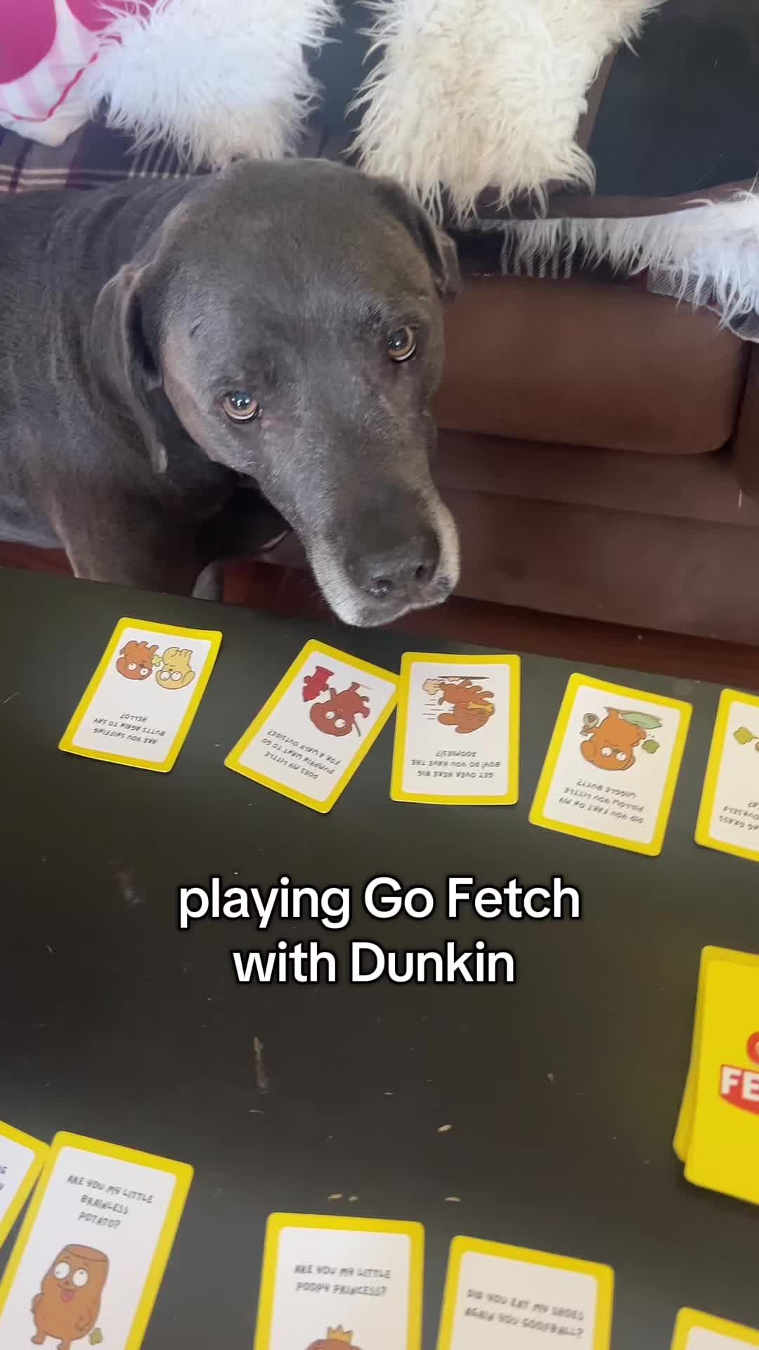 TikTok post by @haleyandthepets for Thrilly Games. Caption reads: playing @Thrilly Games latest game “Go Fetch” with....