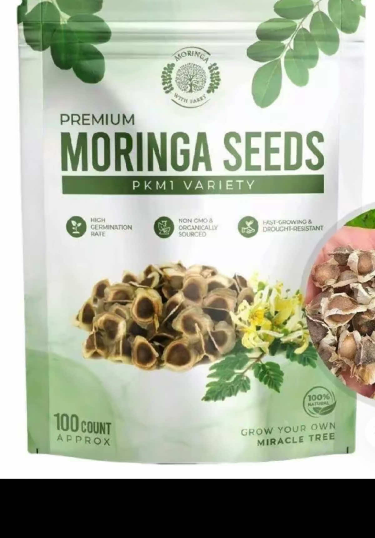 TikTok post by @1.ambassador.of.life for MoringawithBarry. Caption reads: [...] #organicseeds#organic @MoringawithBarry.