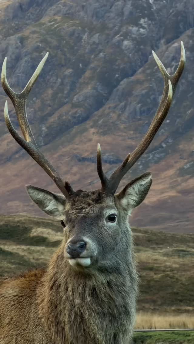 Instagram post by @glutenfreewithcharlie for roadsurfer. Caption reads: [...] 🏴󠁧󠁢󠁳󠁣󠁴󠁿 and right next to the....