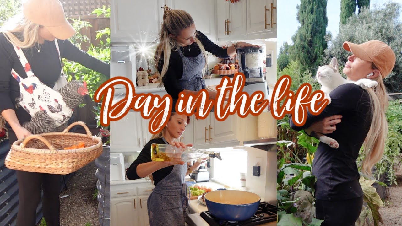 YouTube post by @LaurenNicholsen for HSN. Caption reads: 🍂 FALL DAY IN THE LIFE  // CHATTY FALL HARVEST....