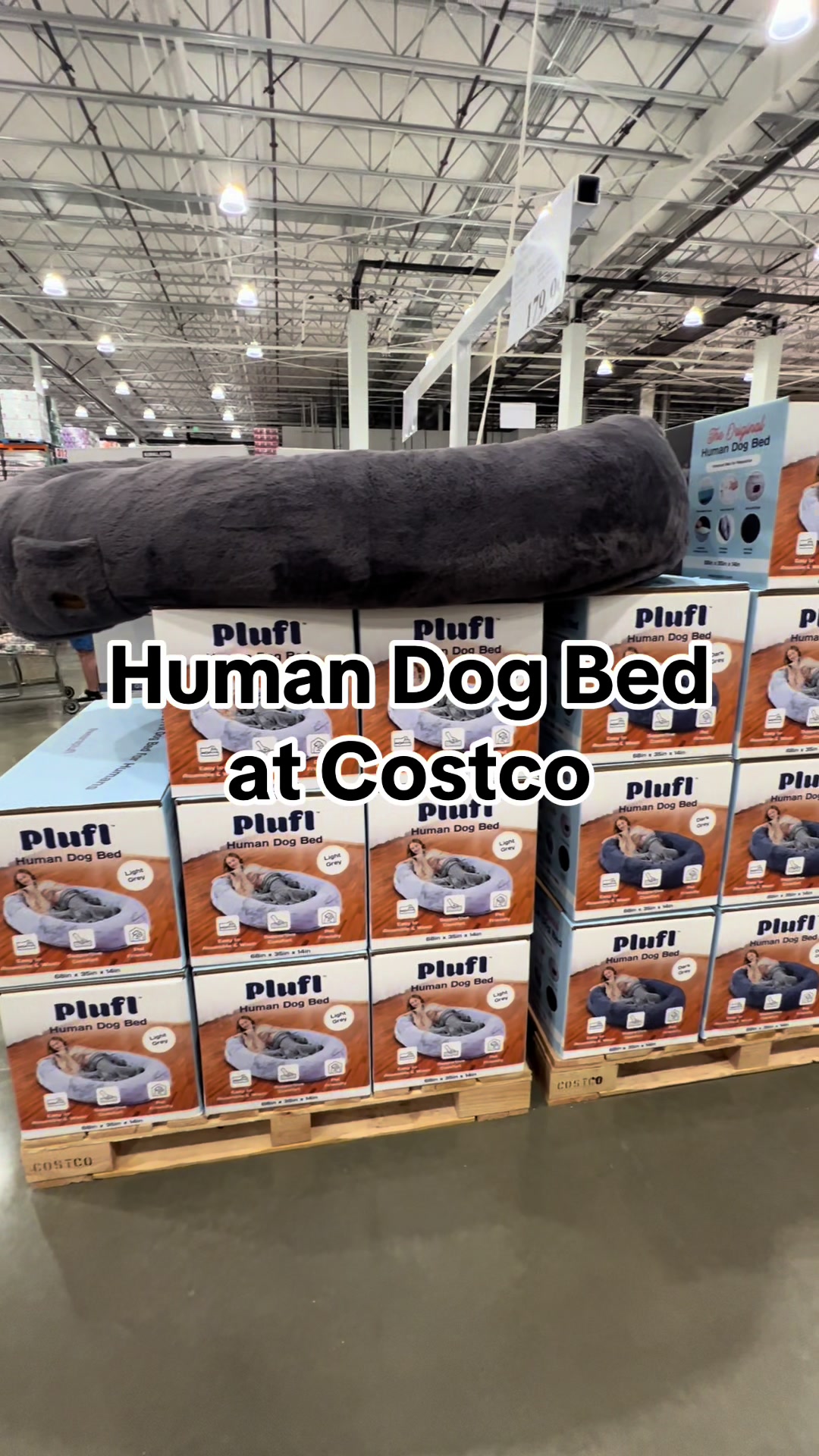 TikTok post by @costconewdeals for Plufl. Caption reads: @Plufl First dog bed for humans is at Costco! I....