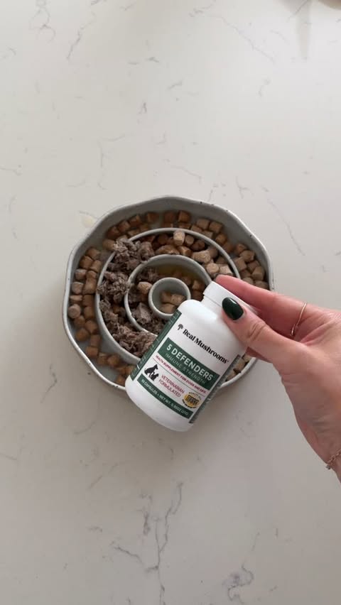 Instagram post by @pawrentceramics for Native Pet. Caption reads: ASMR afternoon, though I think we are also due for....