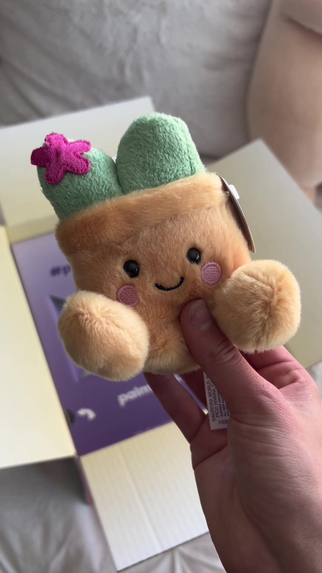 TikTok post by @vlogswdella for Palm Pals. Caption reads: [...] favorite is the succulent plant 🪴💕....