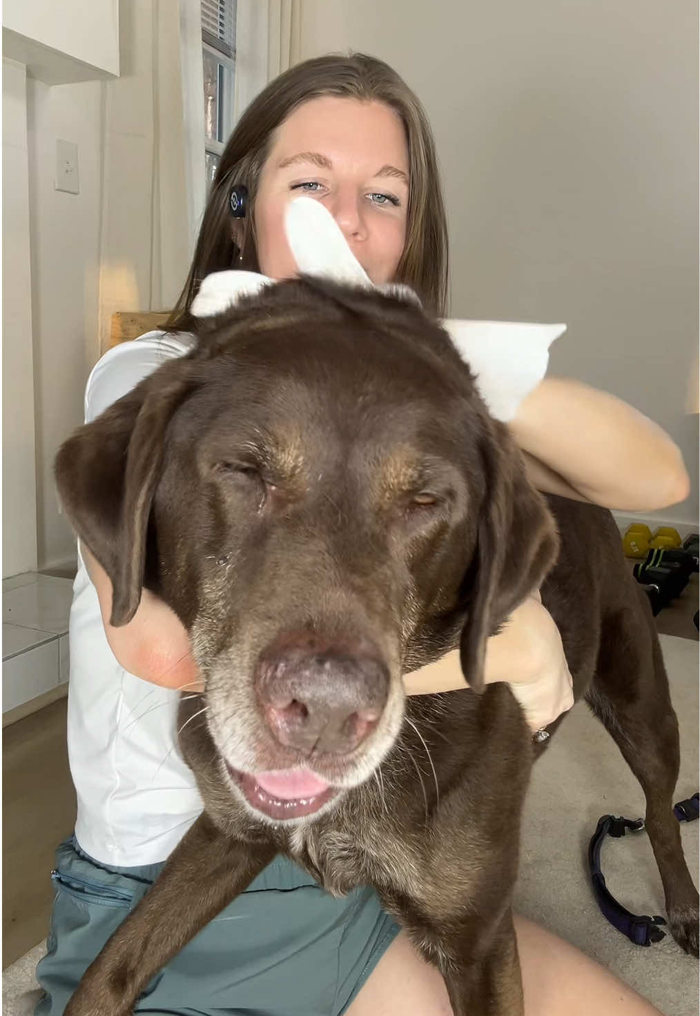 TikTok post by @_toribaker for HICC Pet. Caption reads: Easiest bath ever @HICC Pet US.