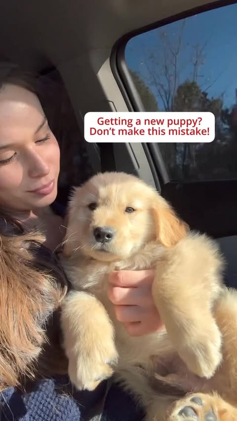 Instagram post by @usandourgoldens for Earth Rated. Caption reads: [...] we did! Make sure to grab some @earthrated....