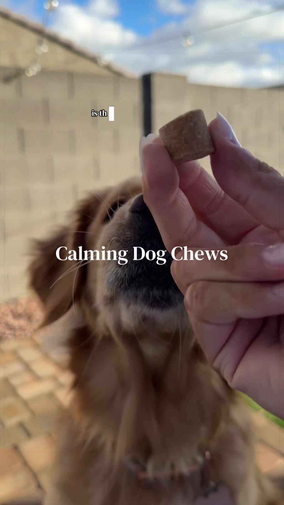 TikTok post by @ashtallman for Kradle. Caption reads: #ad Kradle Calming Chews have been a staple in our....