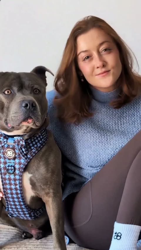 Instagram post by @papistaffy for Pawsome Paws Boutique. Caption reads: [...] autumn in the new collection from....