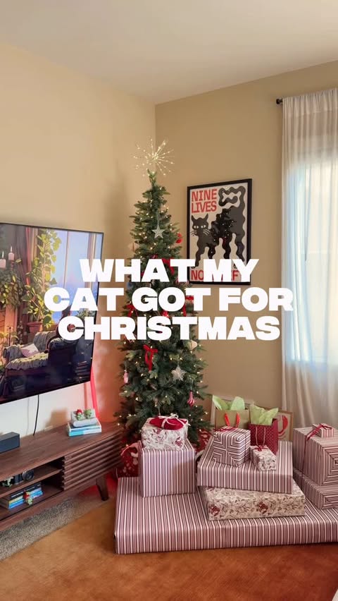 Instagram post by @indoorcatkiwi for Smalls. Caption reads: WHAT KIWI GOT FOR CHRISTMAS 🐱🎄🎁✨

so grateful....