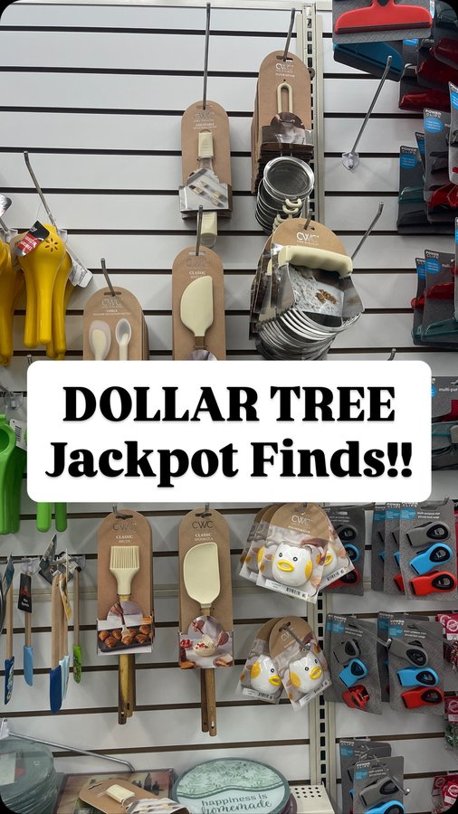 Instagram post by @sensationalfinds for Dollar Tree. Caption reads: Come shop with me at Dollar Tree for brand new....