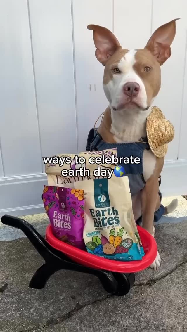 Instagram post by @polothepittie for Earthborn Holistic Pet Food. Caption reads: Doing my part this Earth Day—here are a few simple....