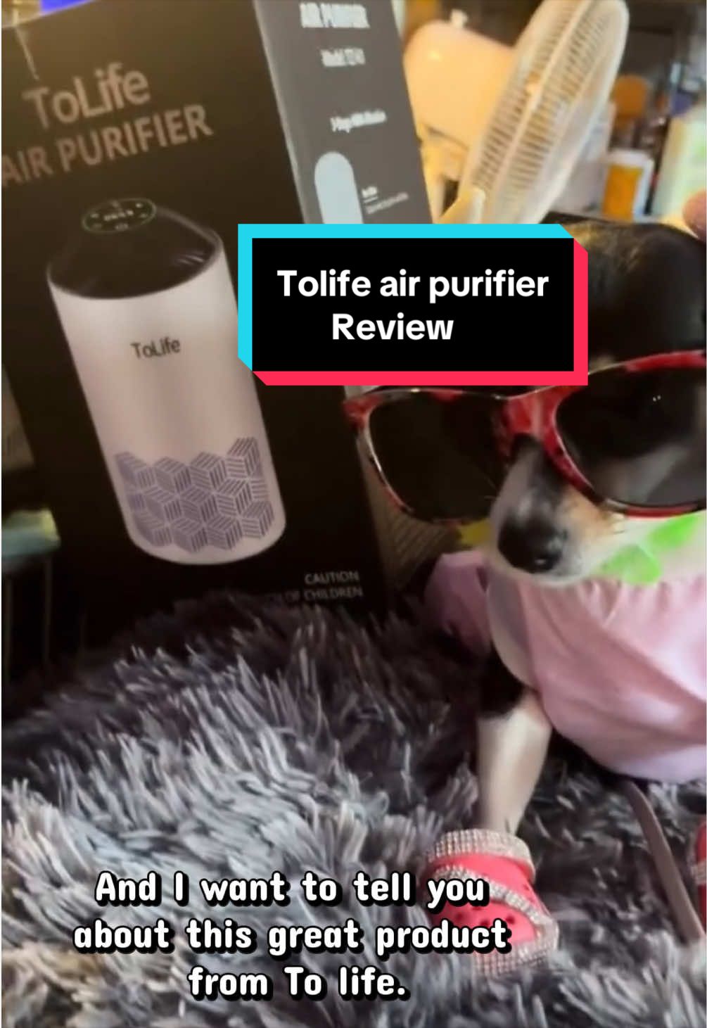 TikTok post by @bunnydrmz66 for ToLife. Caption reads: @ToLife US #tolife #airpurifier [...].