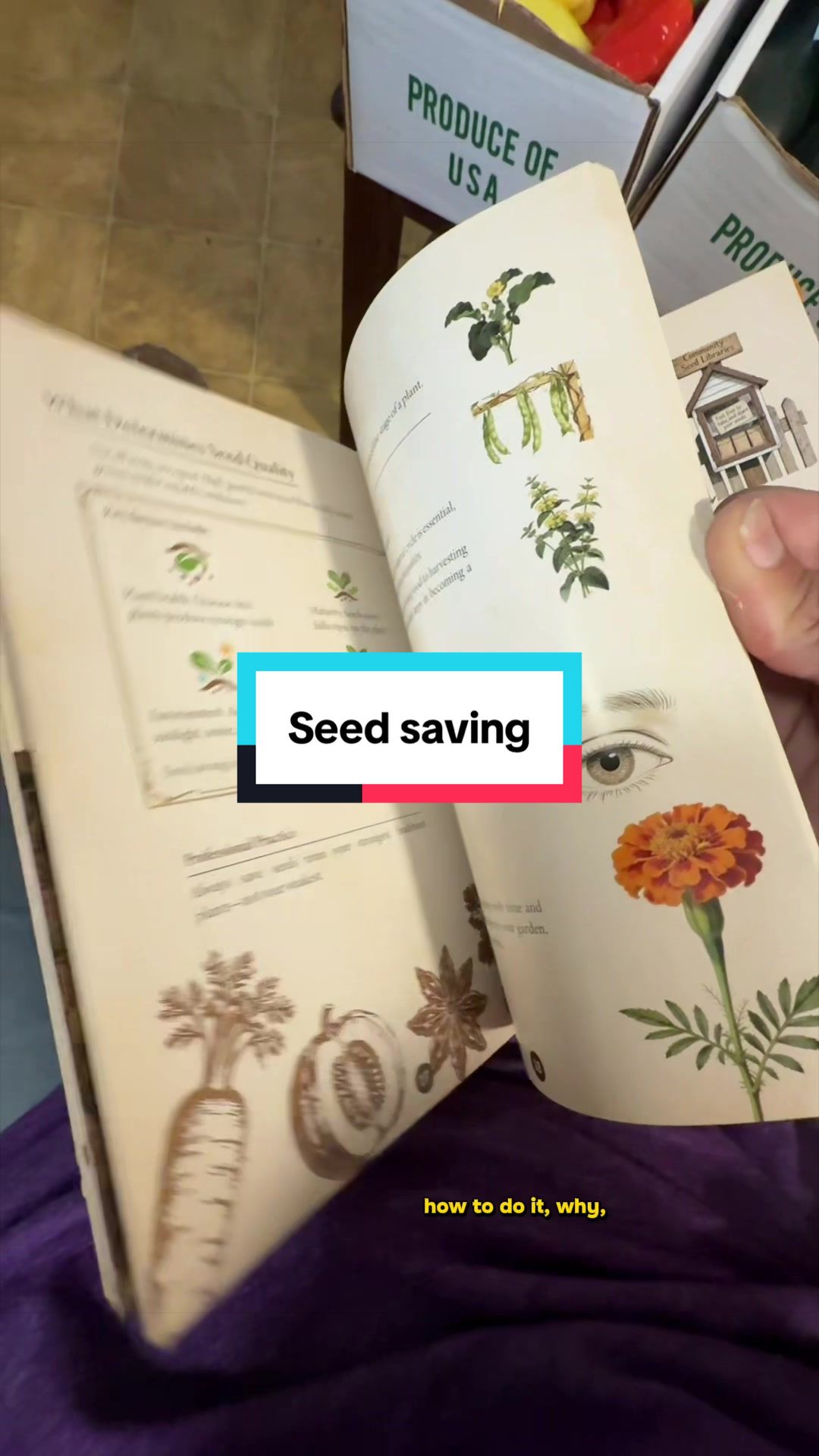 TikTok post by @paras_site_adventures for LUSH&DEW. Caption reads: @LUSH&DEW seed saving kit and book is such a [...].