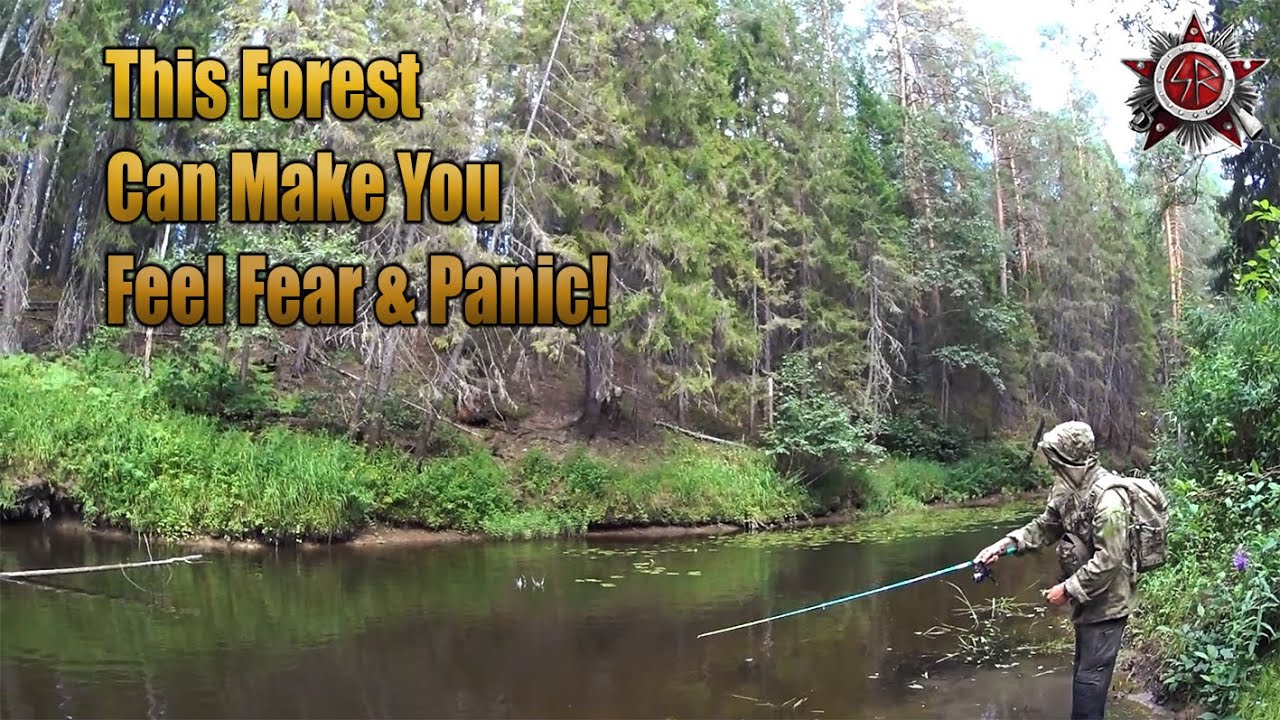 YouTube post by @SurvivalRussia for OUKITEL. Caption reads: Lost In The Forest | Wild Forest River Fishing .