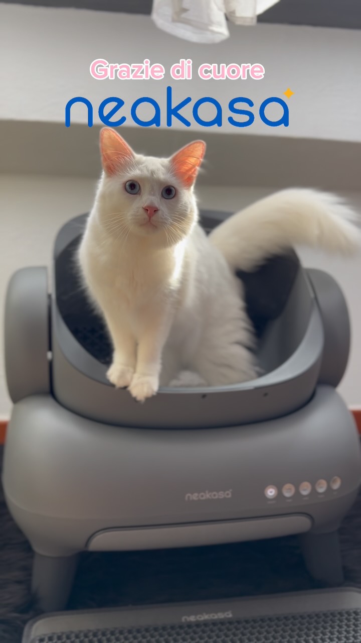 Instagram post by @minouthearistocat for Neakasa. Caption reads: #giftedby @neakasa.tech 💙.