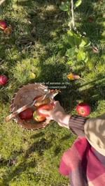 Instagram post by @sisterssharingstyle for SLIP SILK PILLOWCASE. Caption reads: autumn asmr in the English countryside 🌧️🌾🍎🪵🍂....