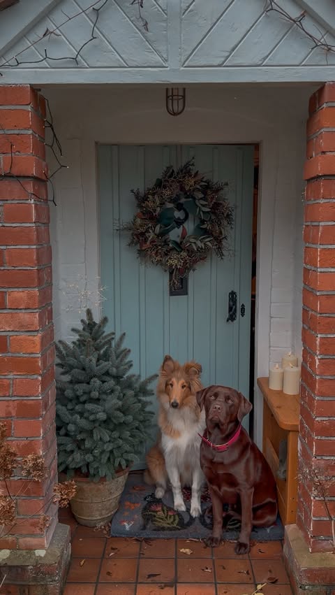 Instagram post by @hercountryliving for Arden Grange. Caption reads: [...] under blankets), and our beloved....