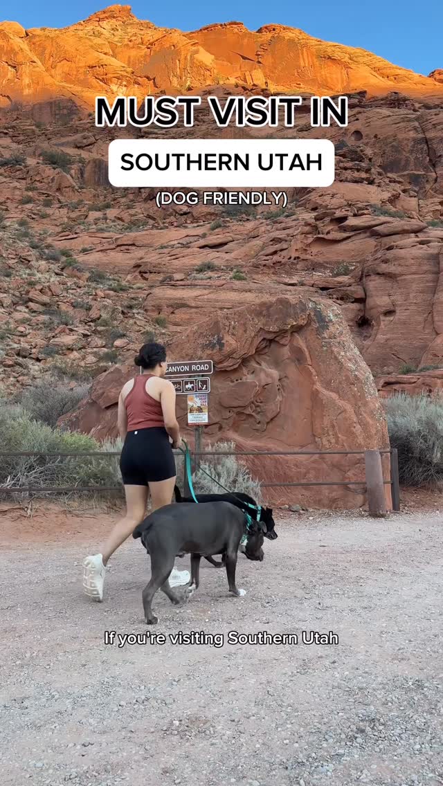 Instagram post by @duke.thebluepit for Cesar Italia. Caption reads: AD From desert trails to downtown lattes ☕️

We....