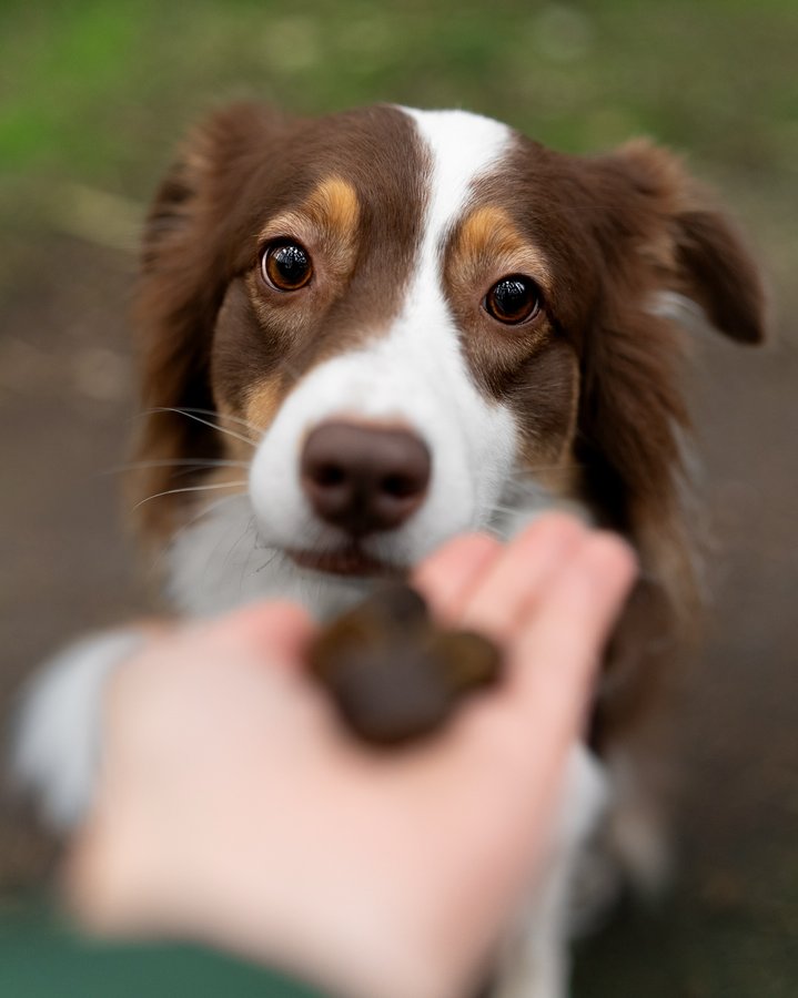 Instagram post by @happy_aussie_riley for ESSENTIAL FOODS. Caption reads: [...] favourite snack 🫶 (advertisement....