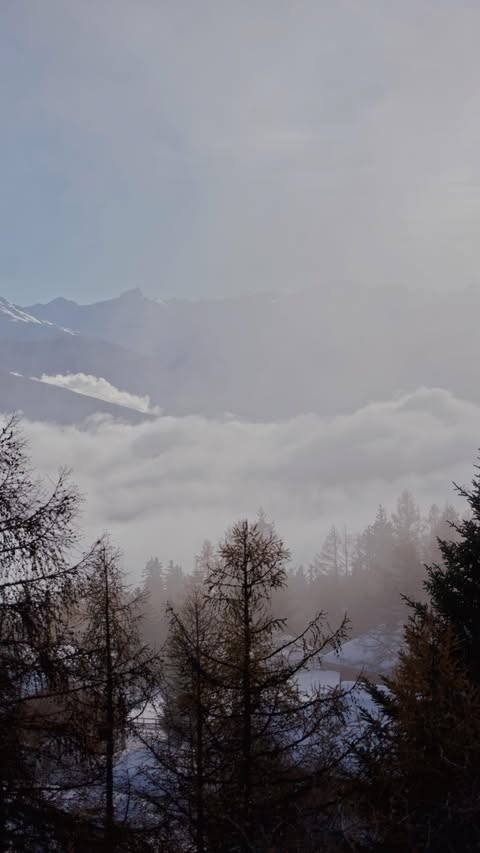 Instagram post by @ginevraberetta_ for MALFY Gin. Caption reads: Malfy shore al Super G di Courmayeur ❄️☃️....