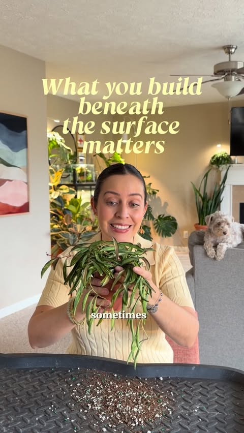 Instagram post by @_plantswithkrystal_ for Nature Made. Caption reads: @naturemadevitamins #partner Thriving plants don’t....